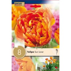 Bulbes de tulipe double sun...
