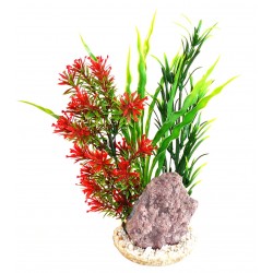 Décor aqua plantes...