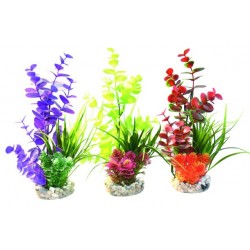 Décor aqua plantes...