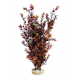 Décor aqua MASSIF FLEURI...