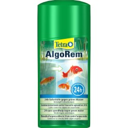 TETRA POND ALGOREM Solution...