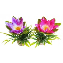 Décor aqua fleur...