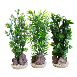 Décor aqua plante...