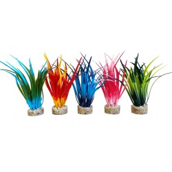 Décor aqua plante...