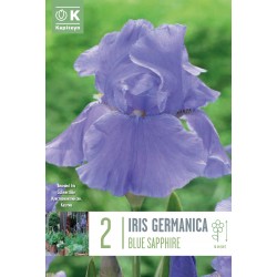 KAPITEYN STANDARD-Iris...
