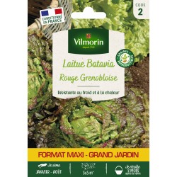 VILMORIN-LAITUE BATAVIA...