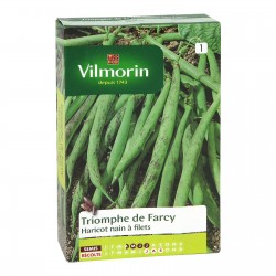 VILMORIN HARICOT Nain À...