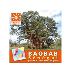 EXOTIQUES Baobab du sénégal...