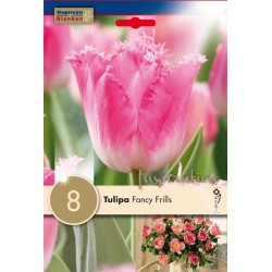 Bulbes de tulipe frangee...