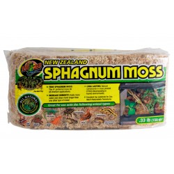 ZOOMED NEW ZEALAND SPHAGNUM...