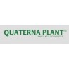 QUATERNA PLANT