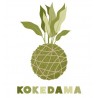 KOKEDAMA