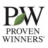 PROVEN WINNER®