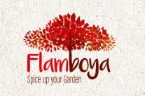 FLAMBOYA